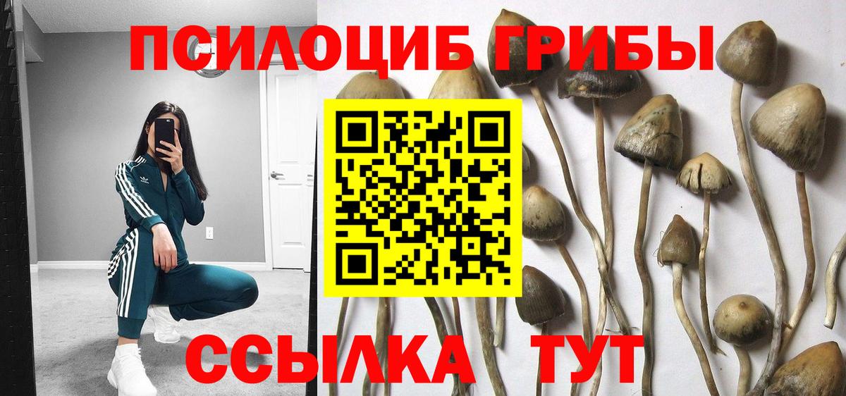Галлюциногенные грибы мухоморы  Вход с VPN  Южноуральск  Галлюциногенные грибы GOLDEN TEACHER 